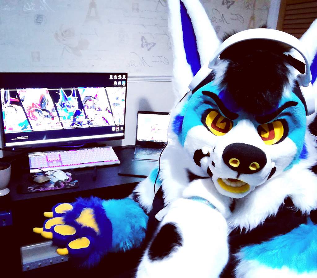 NFC 2020 here I come 😬 Furry Amino