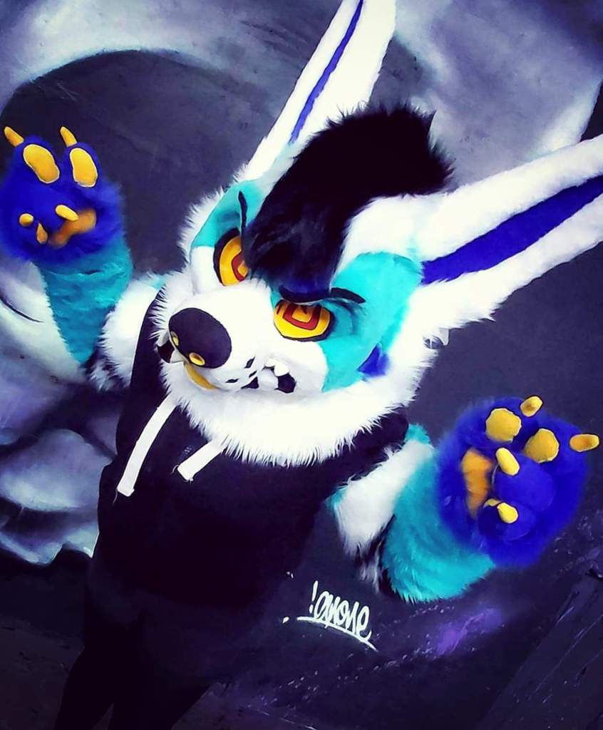 NFC 2020- here I come 😬 | Furry Amino