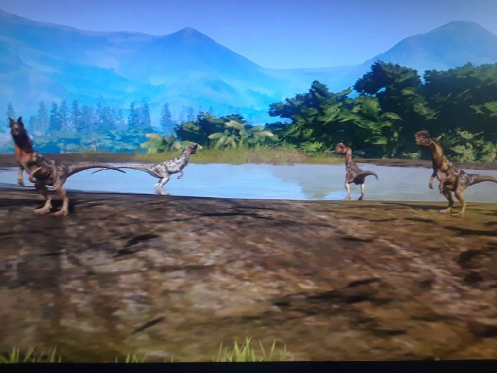 My Safari Park ~jurassic World Evolution~ Amino