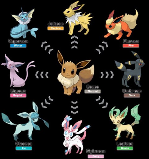 Eeveelution | Wiki | Pokémon Amino