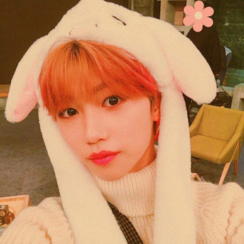 🍓𝕸𝖔𝖈𝖍𝖎 | Stray Kids Amino