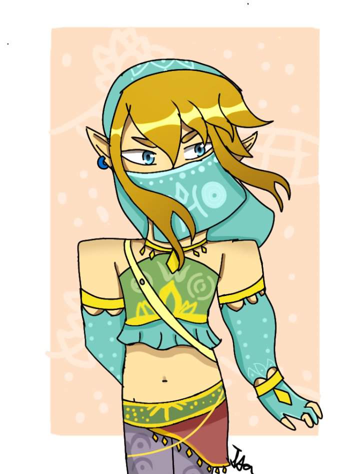 Vai Link (BotW) | Zelda Amino