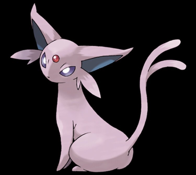 Espeon | Wiki | Pokémon Amino