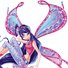 amino-Winxever-9cd71b1c