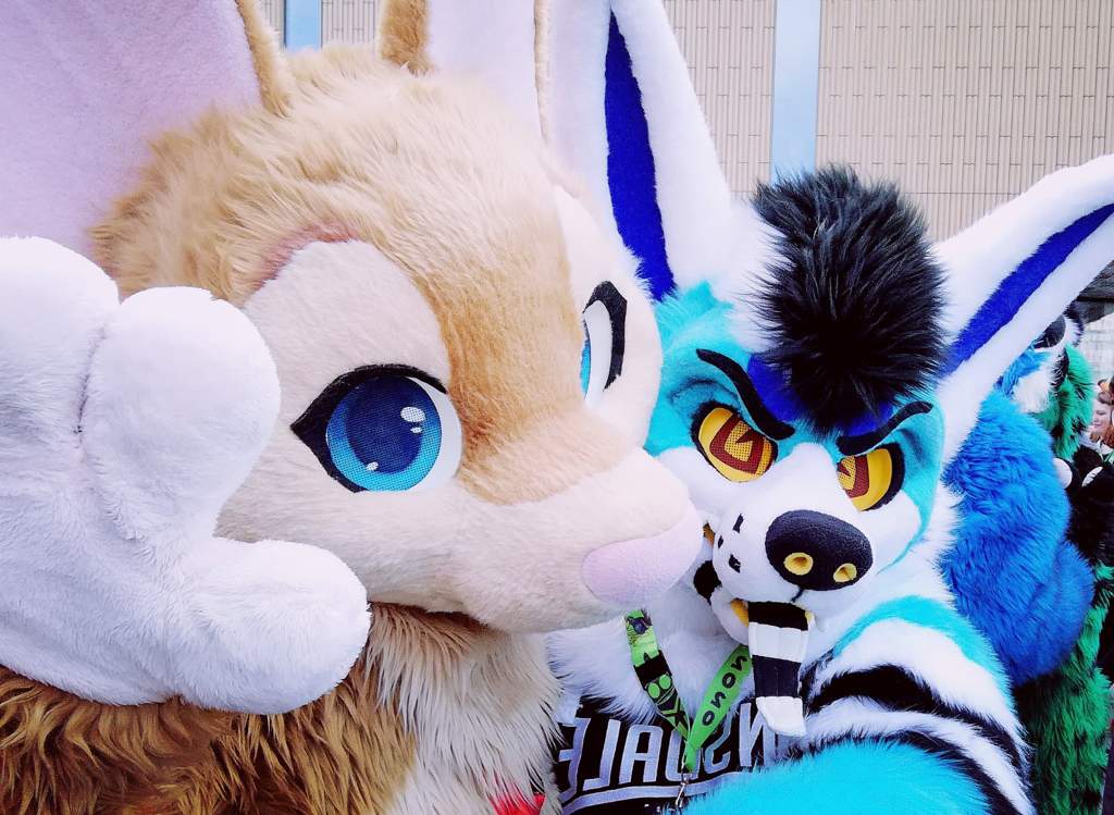 My first con [NFC 2020] w/bait Furry Amino