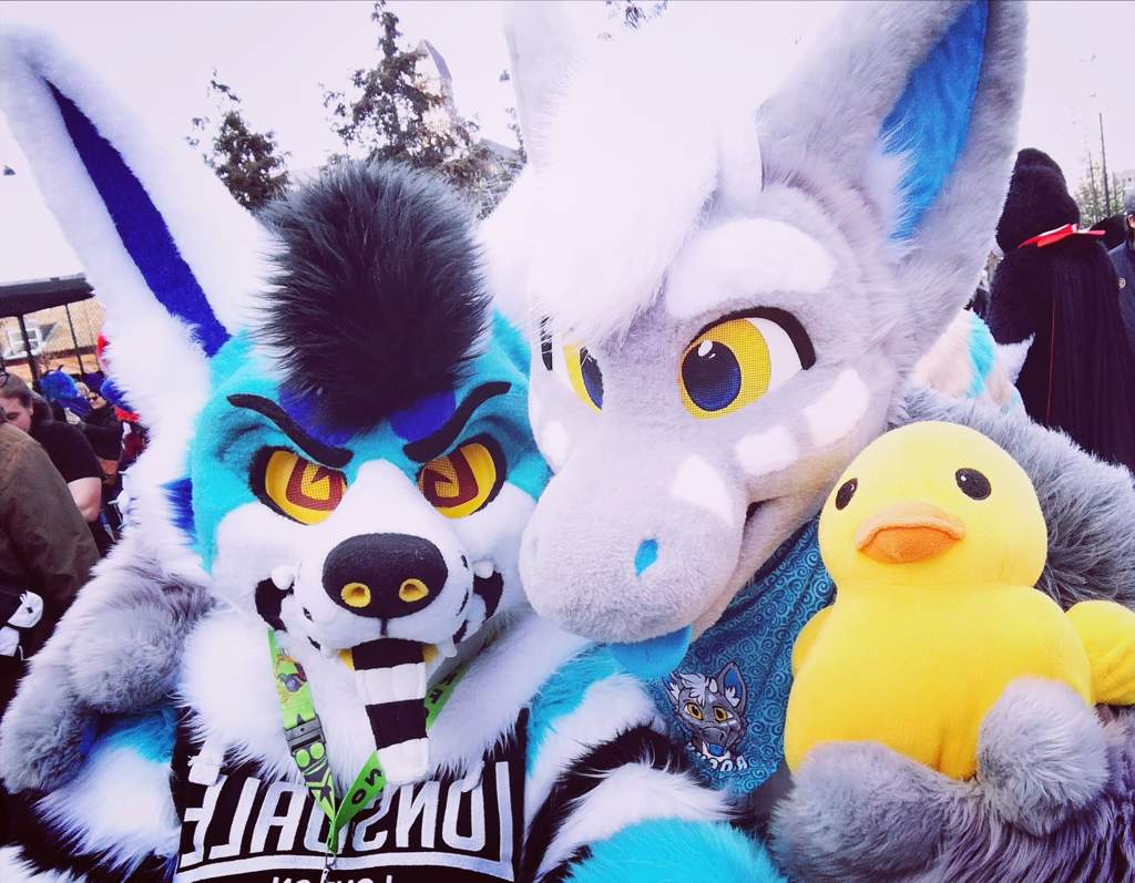 My first con [NFC 2020] w/bait Furry Amino
