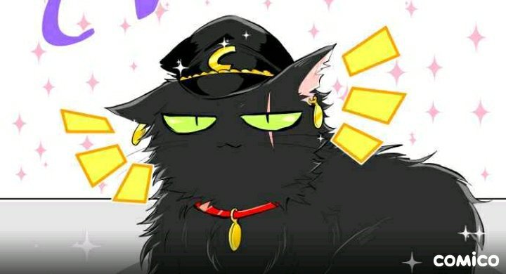 Cat's Day!! 🐱!! Nanbaka 🎇 | ⭐📖NANBAKA|Manga📖⭐ Amino