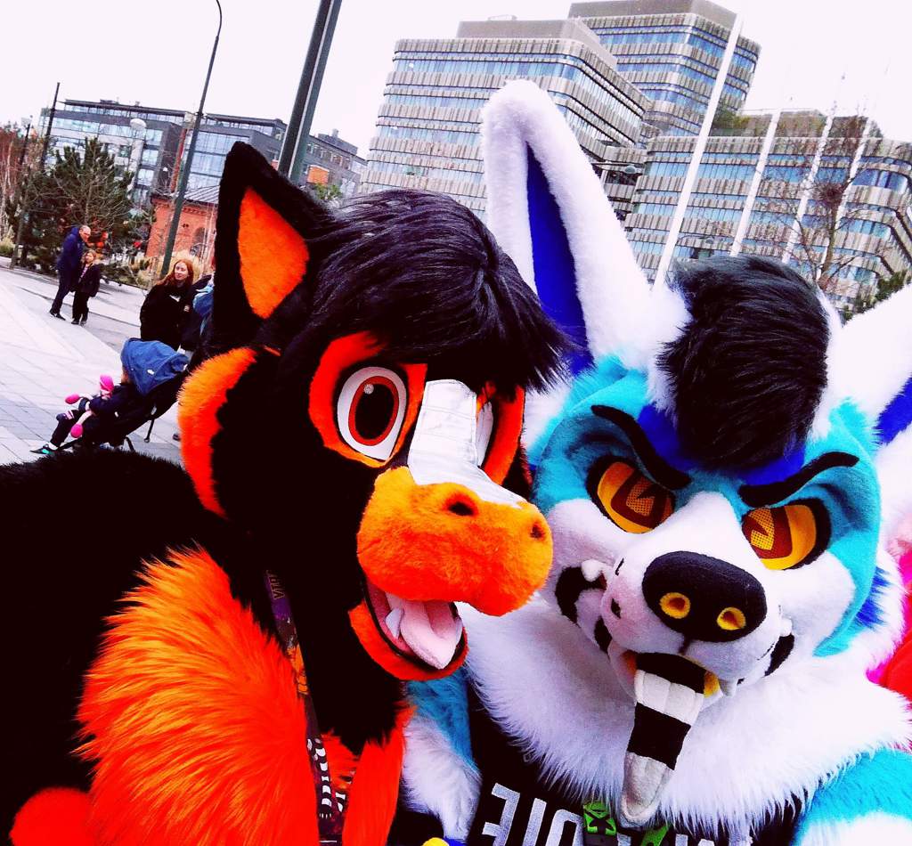 My first con [NFC 2020] w/bait Furry Amino