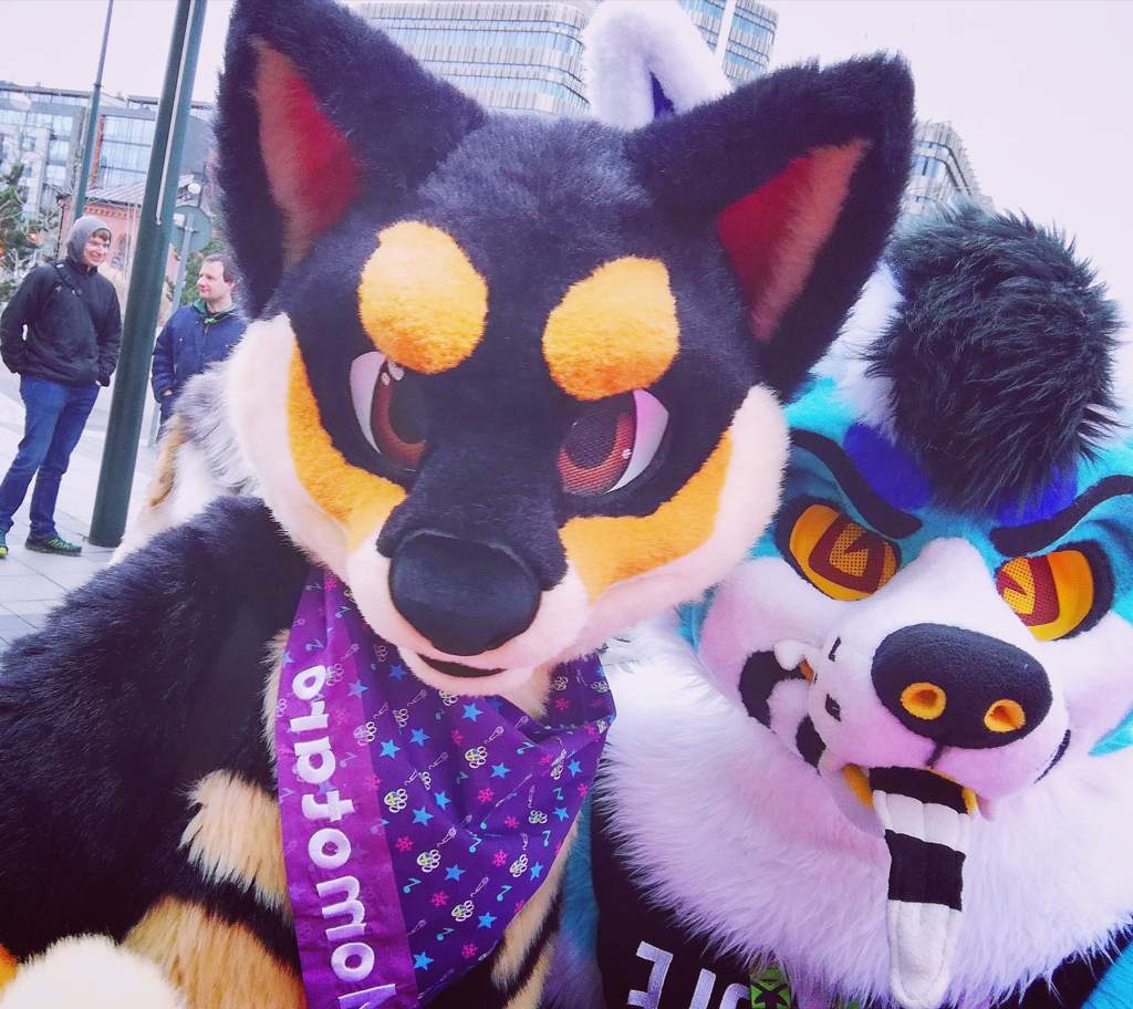 My first con [NFC 2020] w/bait Furry Amino