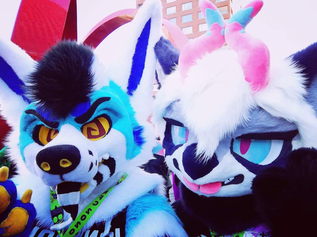 My first con [NFC 2020] w/bait Furry Amino