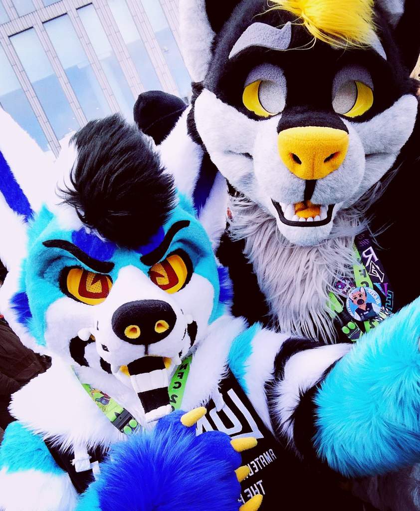 My first con [NFC 2020] w/bait Furry Amino