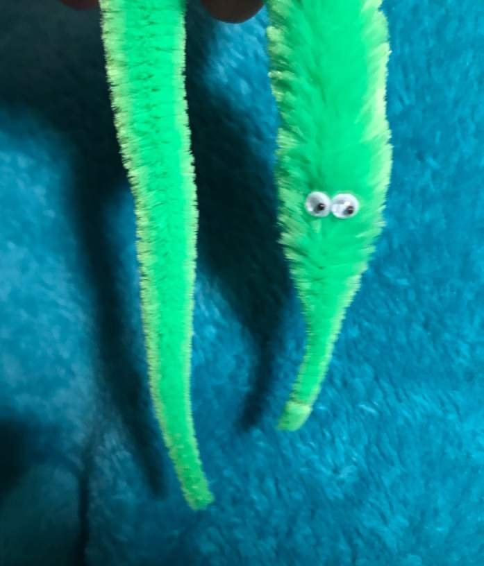 ♧Tibia♧ | Wiki | *+*+Worm on a string+*+* Amino