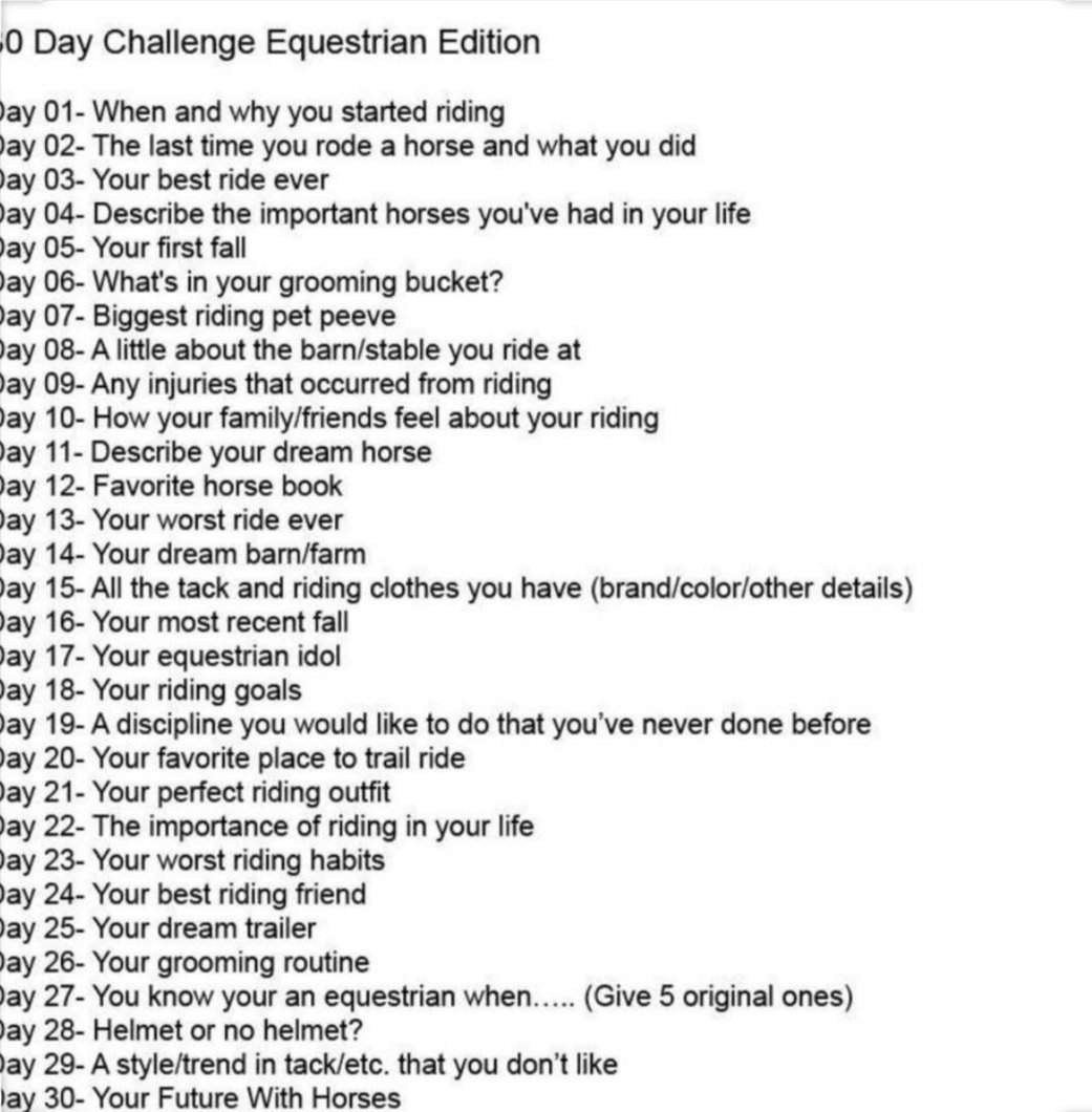 30 day Horse riding challenge | °~Horses Amino~° Amino