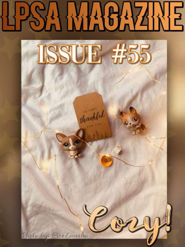 LPSA Official Magazine! | Cozy ☕️ | LPS Amino