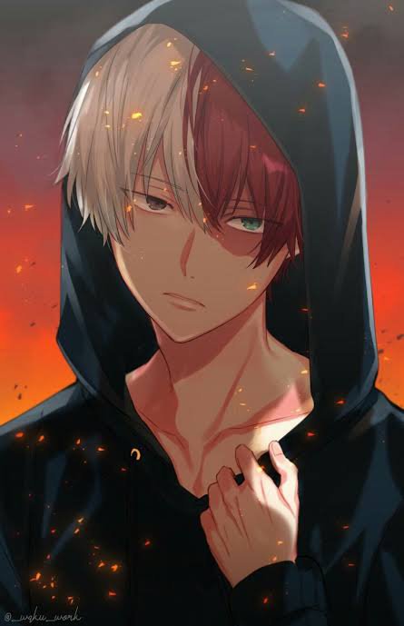 Shoto Todoroki | Wiki | Anime Amino