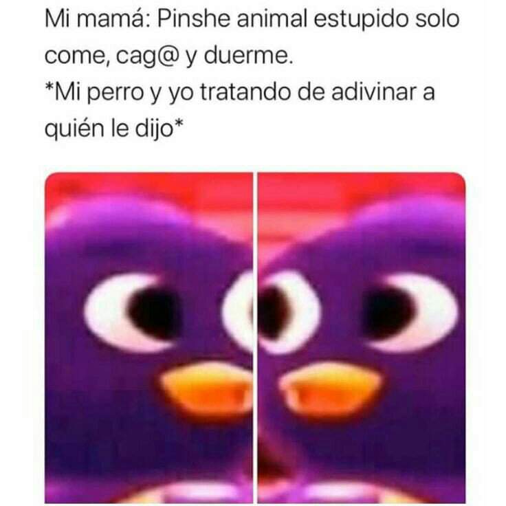 Jotear entre amigos refuerza amistad | ¡Shitpost! Amino