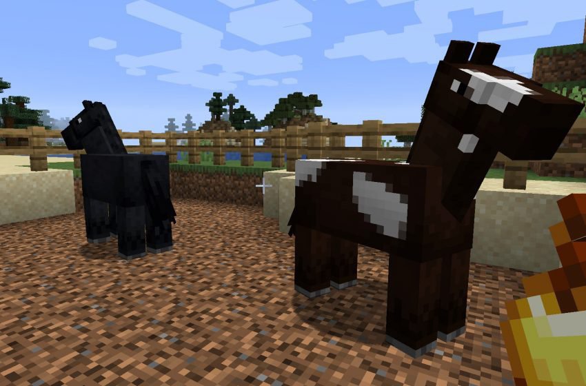 Update Idea 1 Horses Minecraft Amino