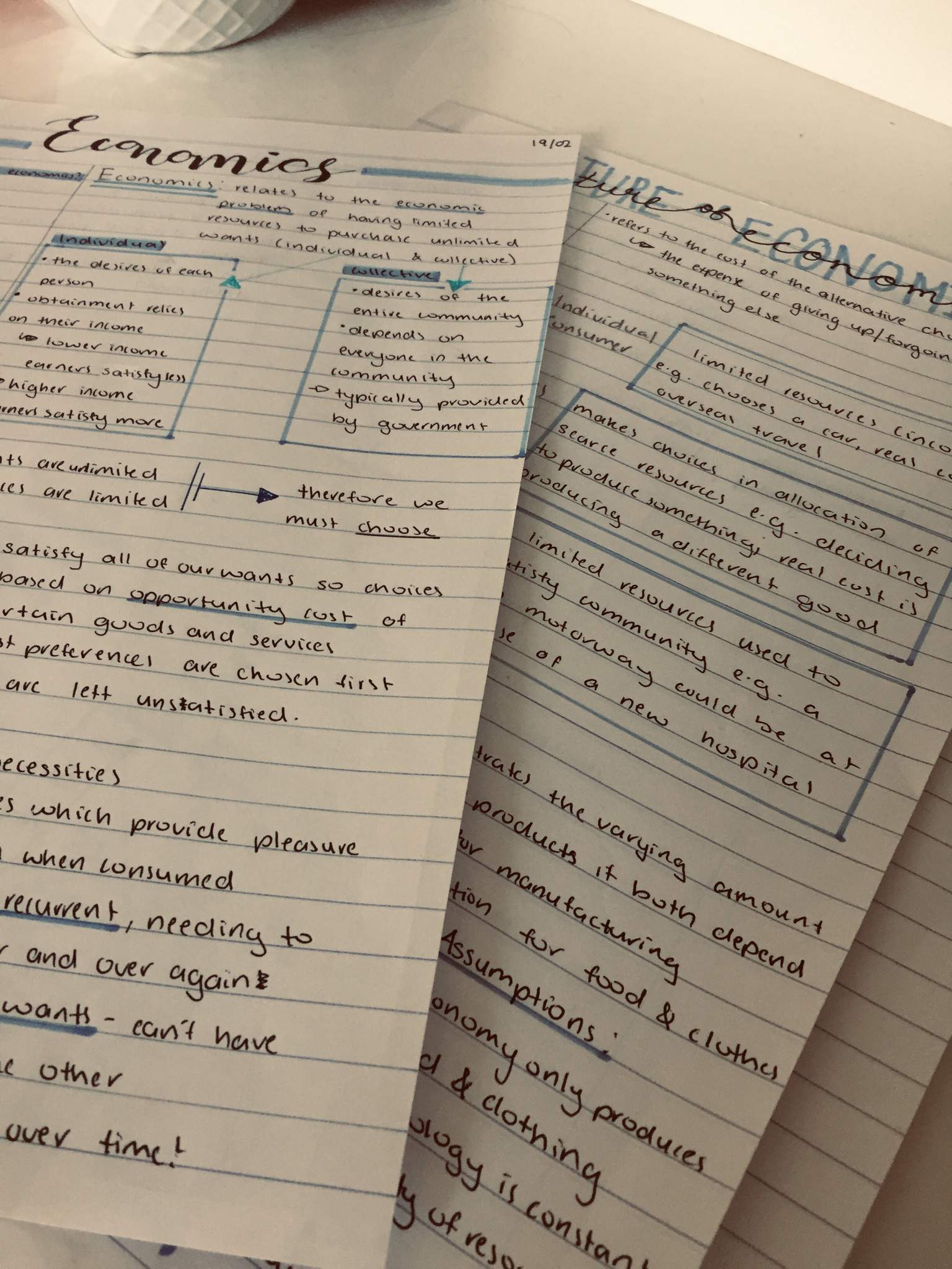 Economics Notes | Studying Amino Amino