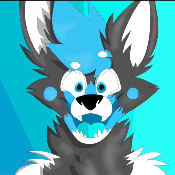 Aki | Wiki | Furry Amino