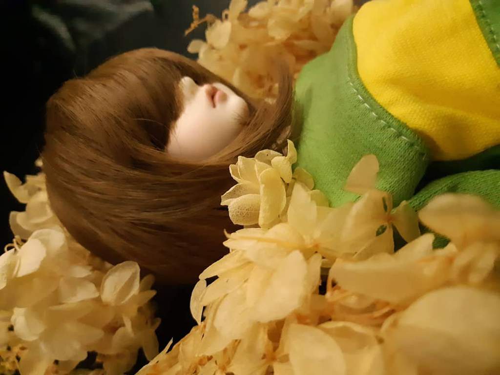 undertale bjd