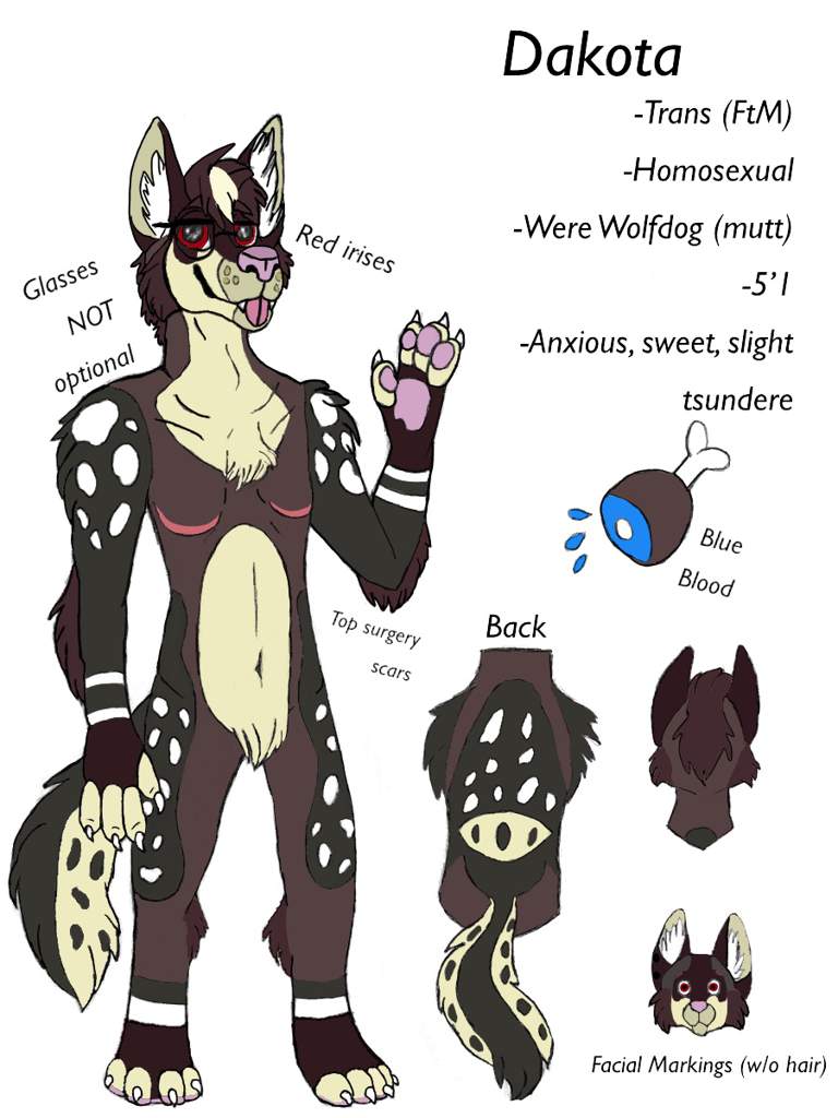 Dakota | Wiki | Furry Amino