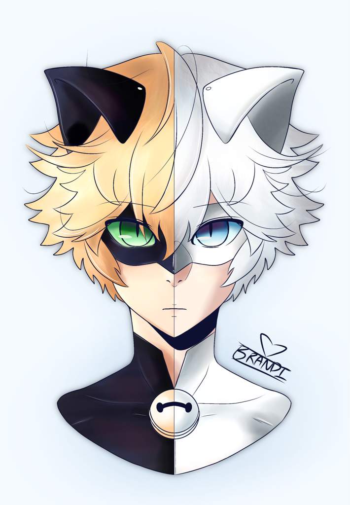 Chat Noir Chat Blanc Miraculous Amino