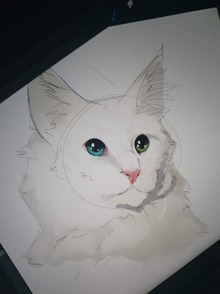 Un gato | •Arte Amino• Amino
