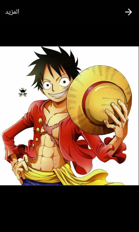 Wiki One Piece Arabic Amino