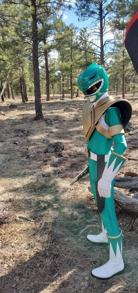 Green Ranger MMPR Cosplay Amino