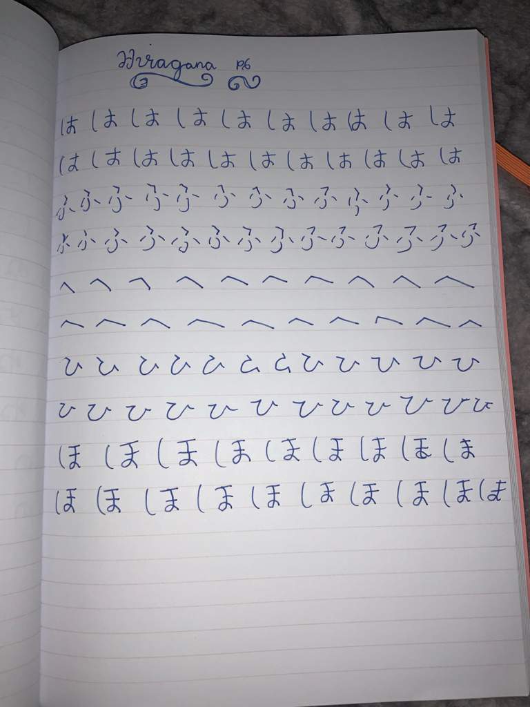 Hiragana Notebook Rows Na and Ha Japanese School Amino