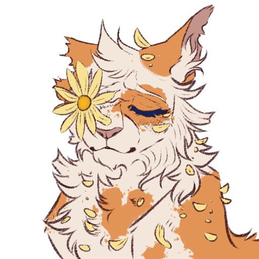 🌻Brightheart🌻 | Warriors Amino