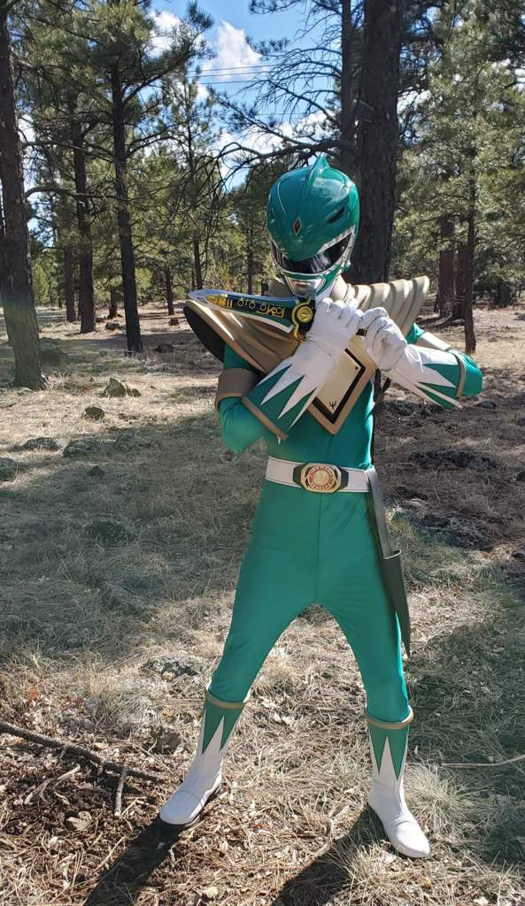 Green Ranger (MMPR) | Cosplay Amino