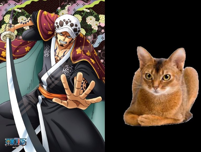 Supernovas as Cat Breeds One Piece Amino