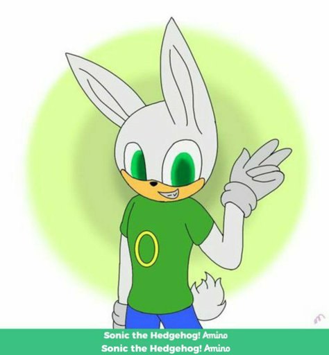 Silicon Sonic The Hedgehog Amino - my sonic ocs roblox sonic the hedgehog amino