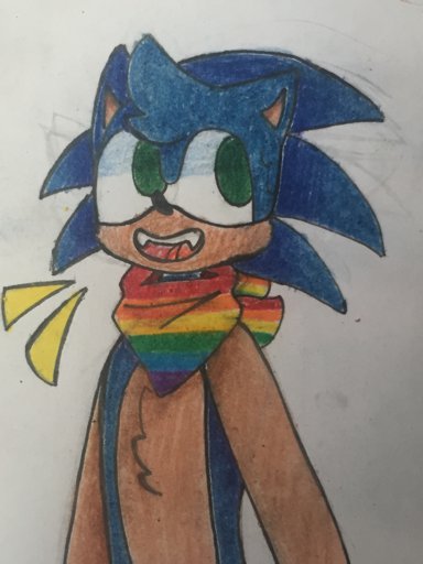 Violet The Fanboy Sonic The Hedgehog Amino - edgelord robin roblox