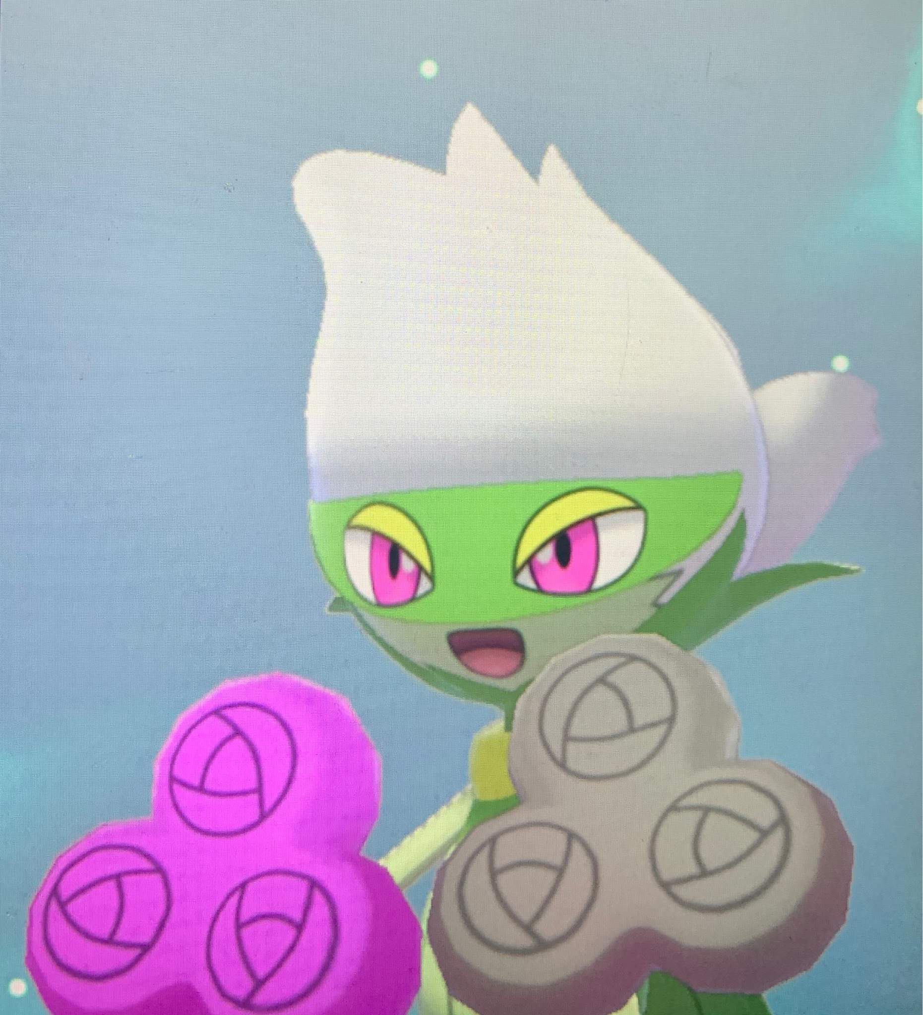 Shiny Ivy! | Pokémon Amino