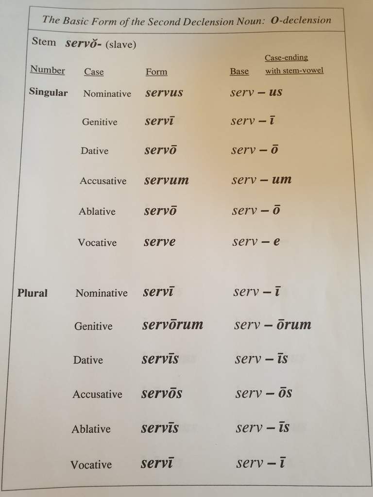 Basic Forms Of The Five Declensions | Latin Language Amino Amino