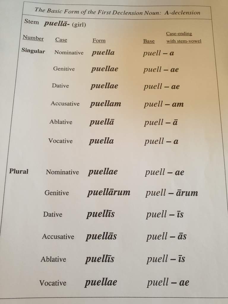 Basic Forms Of The Five Declensions | Latin Language Amino Amino