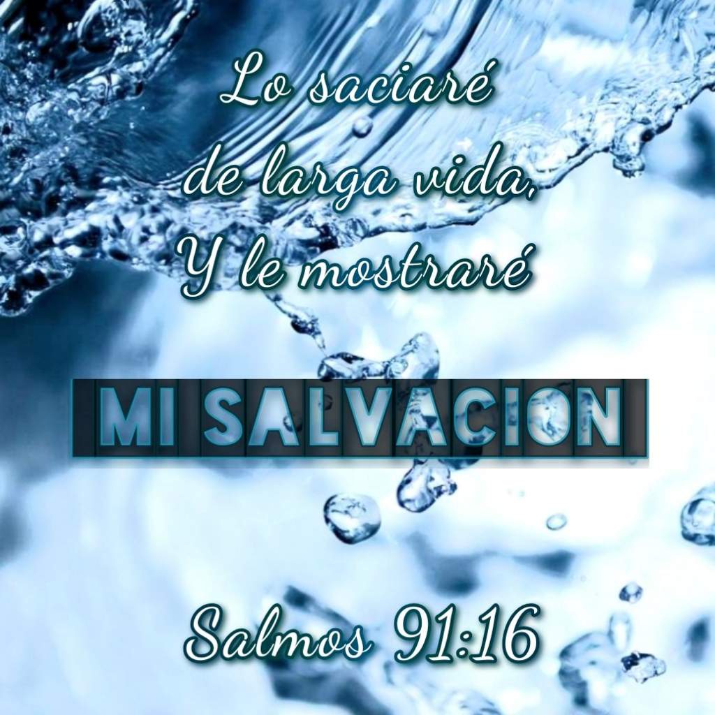 Salmos 91 | Wiki | Dios Es Mi Juez Amino