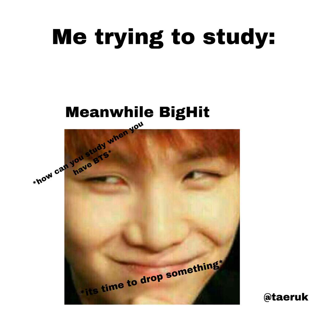 Hyung-Line as ARMYS Memes | ARMY's Amino