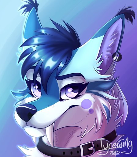 iycewing | Wiki | Furry Amino