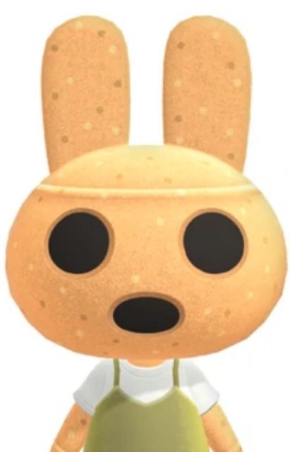 Cocoloca | ⸙; Animal Crossing Amino