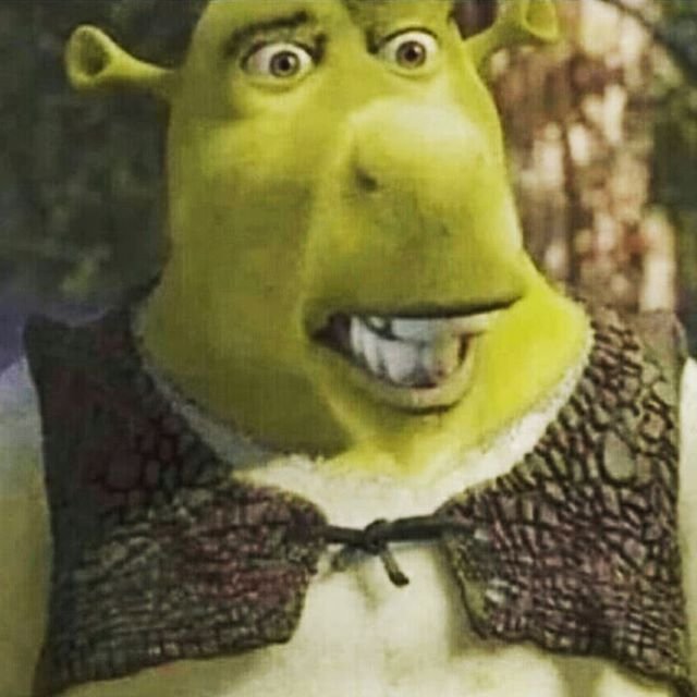 Random Shrek shitpost | •Meme• Amino