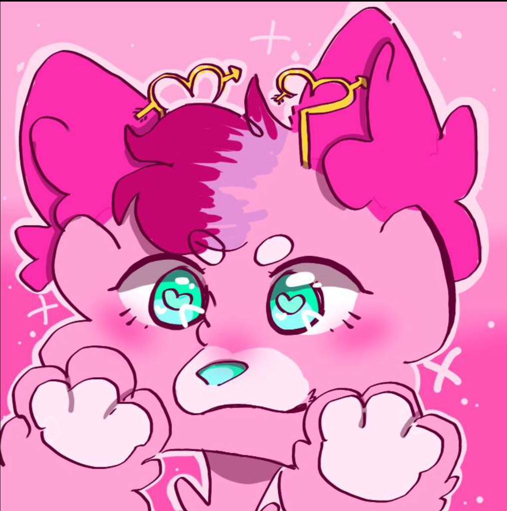 Fizzy Fanta Fox (Pookie the Cookie) | Furry Amino