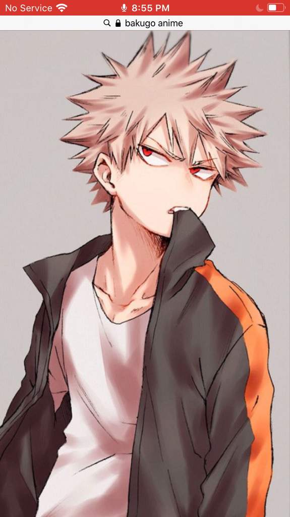 masterlise bakugo