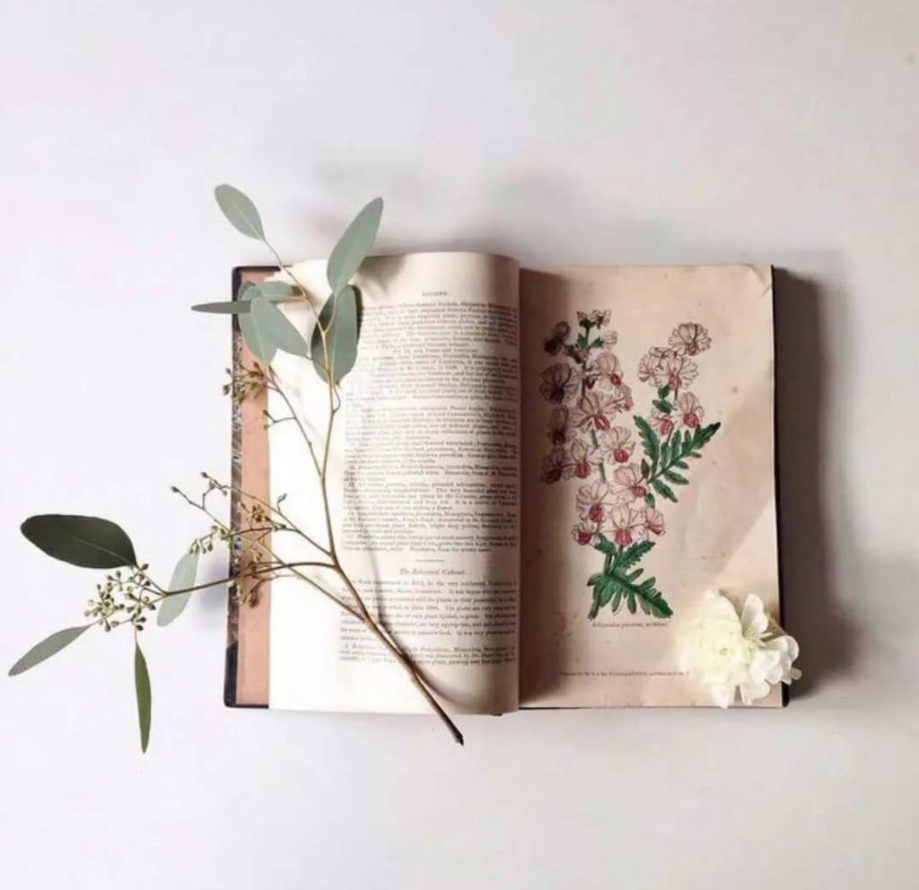 Для того чтобы лучше сохранить цветные рисунки в старинных книгах между их страницами