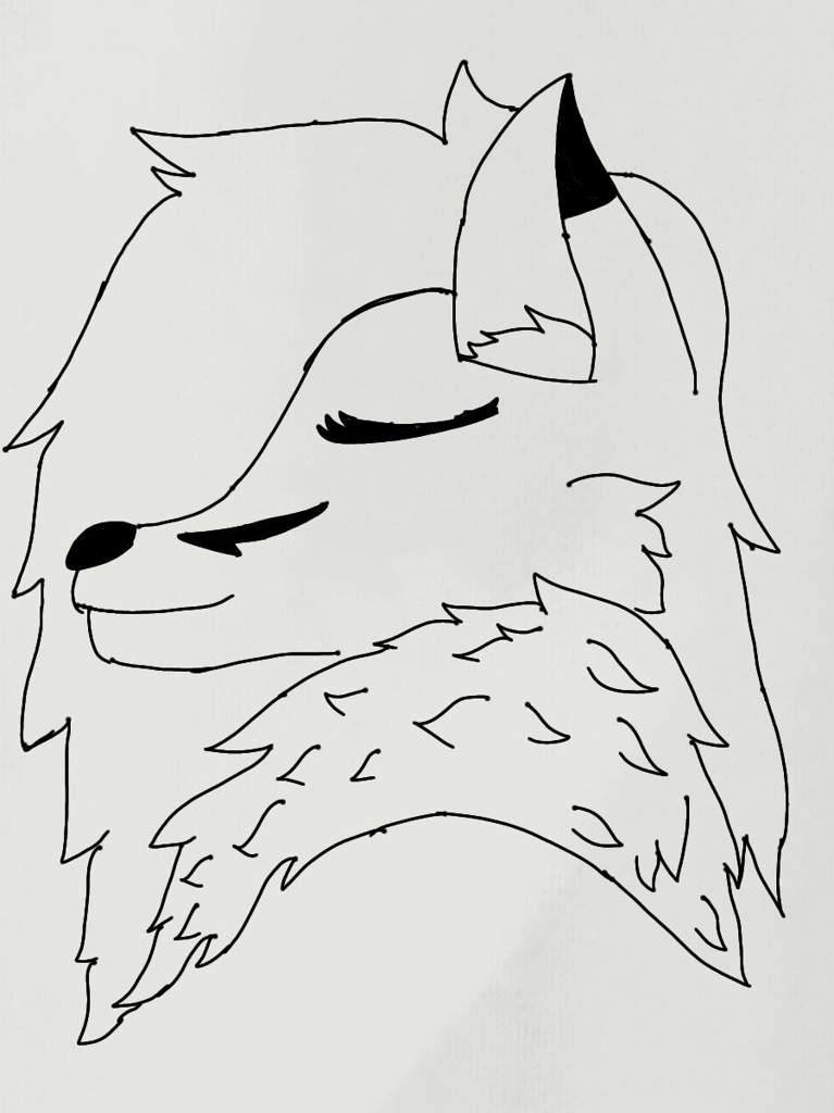 Practicando Nuevo Estilo De Dibujo Furry Español Amino