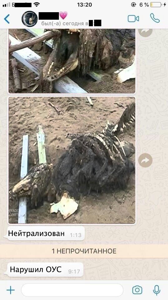 Scp приколы на русском