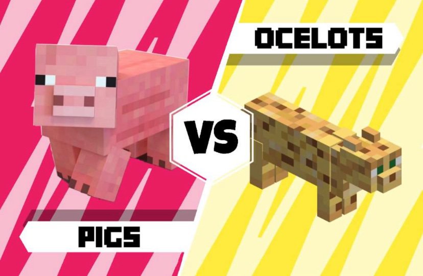 pig vs creepr