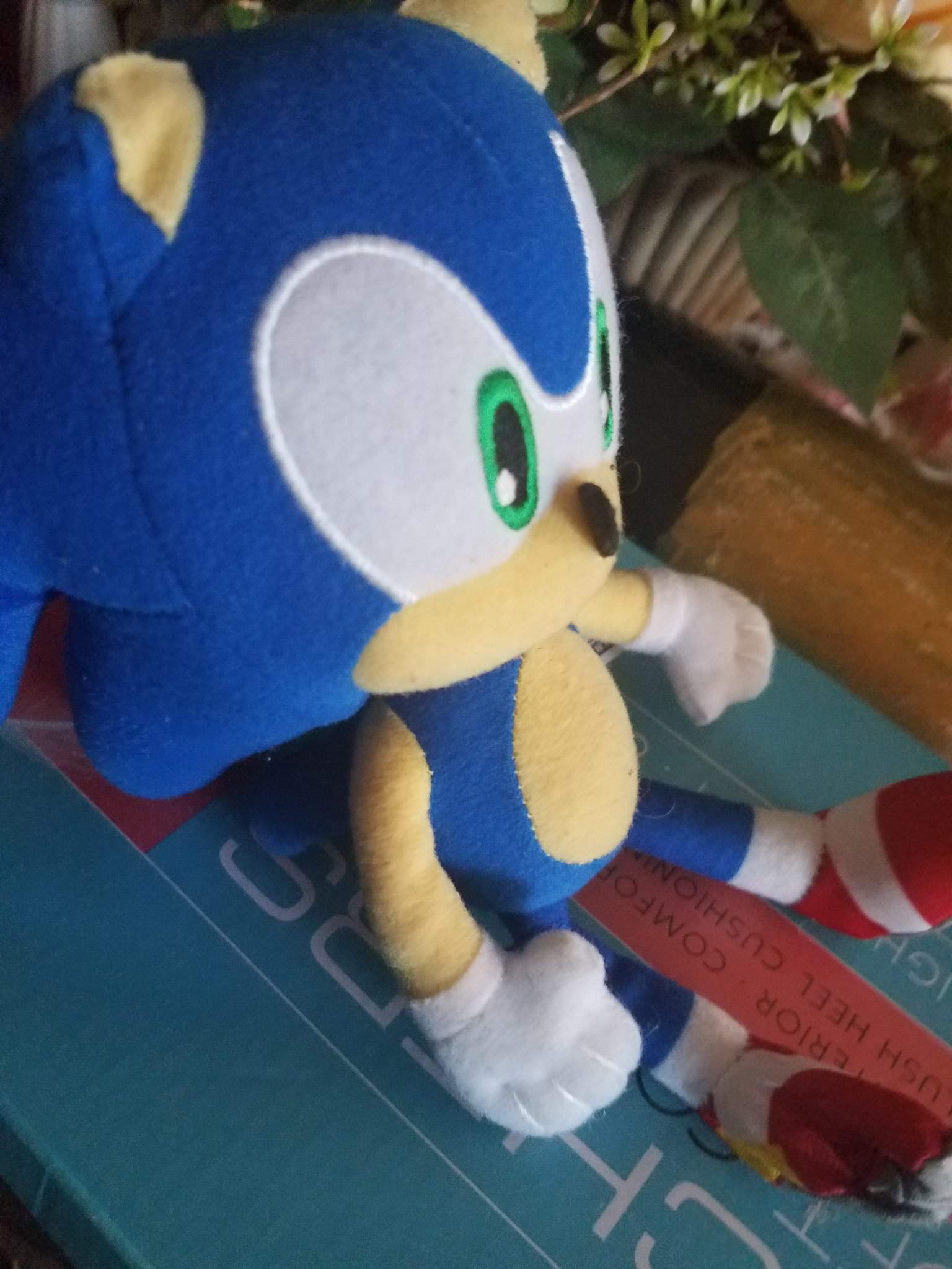 SONIC PLUSH | Wiki | Sonic the Hedgehog! Amino